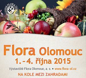 Flora Olomouc 2015