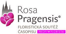 ROSA PRAGENSIS