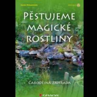 FOTKA - Pstujeme magick rostliny