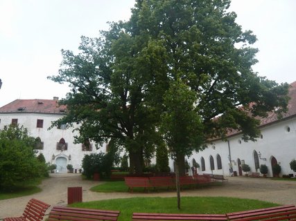 FOTKA - Hrad Btov najdete u Vranovsk pehrady