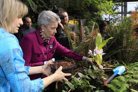 FOTKA - Botanick zahrada otevr svoji nejkrsnj jarn vstavu 