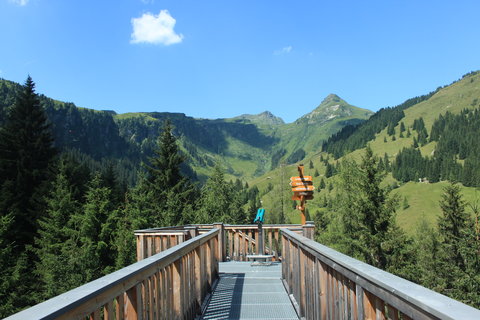 FOTKA - Vlet na Baumzipfelweg v Saalbach-Hinterglemmu