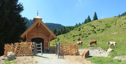 FOTKA - Vlet na Baumzipfelweg v Saalbach-Hinterglemmu