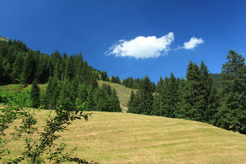 FOTKA - Vlet na Baumzipfelweg v Saalbach-Hinterglemmu