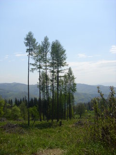 FOTKA - Chaloupka v nru hor