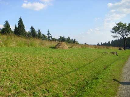 FOTKA - S pan sousedkou na borvkch