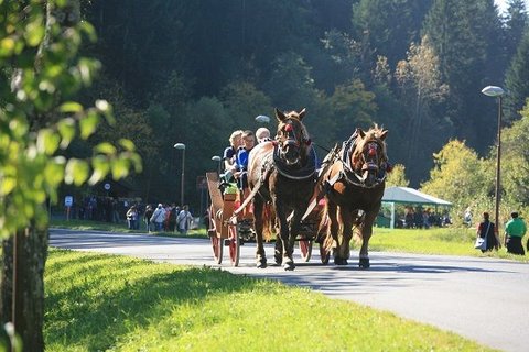 FOTKA - Karlovsk gastrofestival lk na dobr jdlo i zbavu