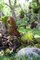 Mezinrodn vstavu bonsaj si v trojsk botanick zahrad mete nov prohldnout i v noci
