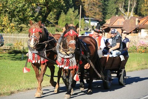 FOTKA - Umte pct frgly nebo vait klobsy? Pijete soutit na Karlovsk gastrofestival