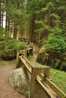 FOTKA - Povstmi opeden Hauswaldsk kaple