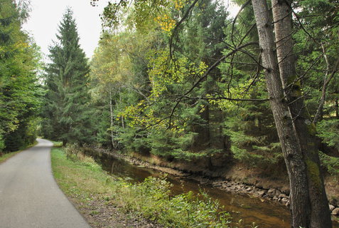 FOTKA - Povstmi opeden Hauswaldsk kaple