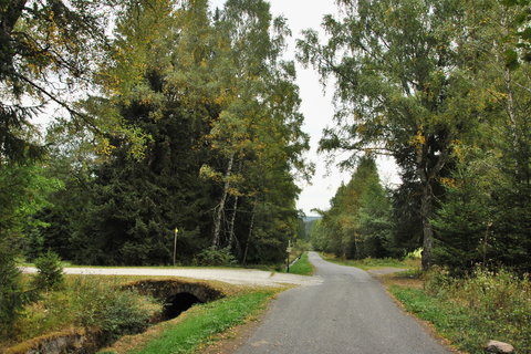 FOTKA - Povstmi opeden Hauswaldsk kaple