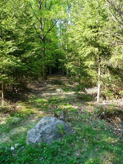 FOTKA - Tajn ivot skal - Lovci menhir