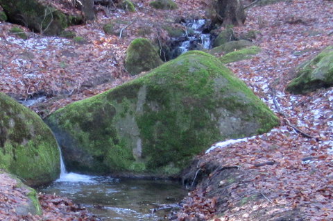 FOTKA - Vlet k rozhledn Tanenice