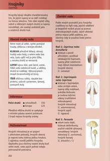 FOTKA - Urujeme houby - 340 druh stedoevropskch hub