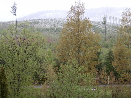 FOTKA - Vechny druhy poas a pekvapiv zvr