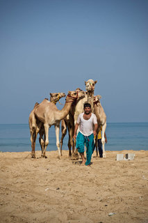 FOTKA - Na cest po emirtskm Ras AL-Khaimah