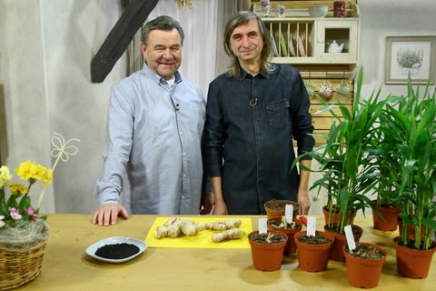 FOTKA - V Prima recept 2.4. 2017