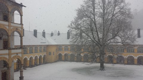 FOTKA - Nrodn klenoty II - Velk Losiny  Nezdoln paprna