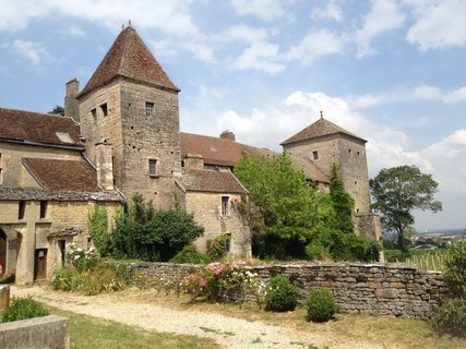 FOTKA - Burgundsk vinice mezi msty Dijon a Beaune