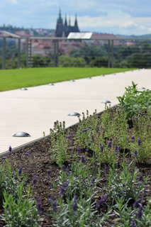 FOTKA - Odhalte slu vodnho ivlu a vychutnejte si nov uniktn vhled na Prahu