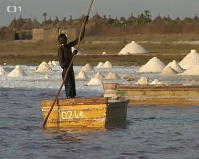 FOTKA - Cestomnie: Senegal - Ve stnu baobabu