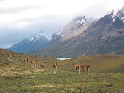 FOTKA - Na cest po Patagonii