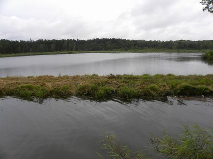 FOTKA - Mchovo jezero