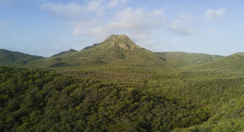 FOTKA - Na cest po ostrov Curacao