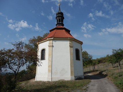 FOTKA - Svatovclavsk vinice na Cecemn