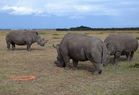 FOTKA - 10 bezpench tip, kam za exotikou v zim a na podzim