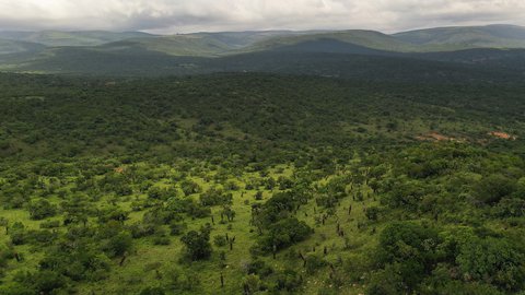 FOTKA - Na cest po jihoafrickm Zululandu