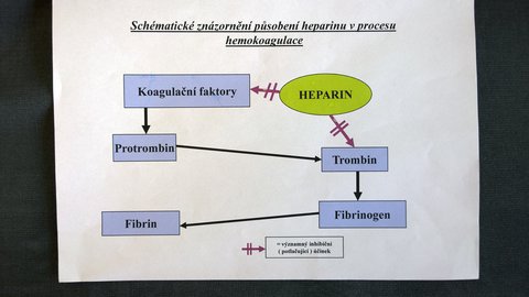 FOTKA - Legendy kriminalistiky 2 - Heparinov vrah