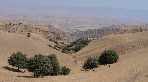 FOTKA - Na cest po irckm Kurdistnu
