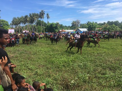 FOTKA - Hledn ztracench svt - Sumba