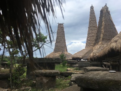 FOTKA - Hledn ztracench svt - Sumba