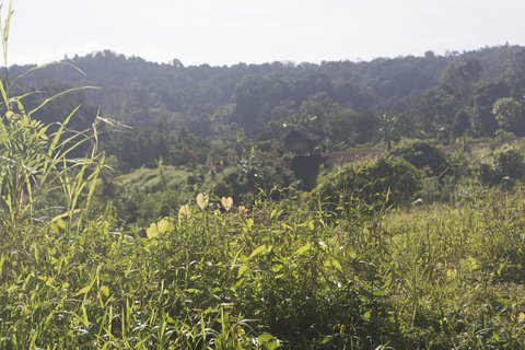 FOTKA - Papua Nov Guinea: dva svty - Vojta a Sentiko