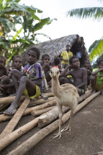 FOTKA - Papua Nov Guinea: dva svty - Vojta a Sentiko