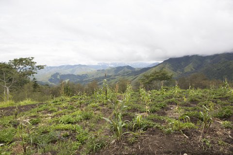 FOTKA - Papua Nov Guinea: dva svty - Filip a Johnas