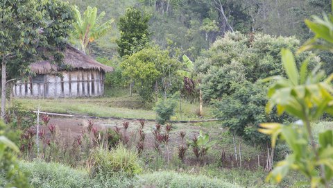 FOTKA - Papua Nov Guinea: dva svty - Bonny a Graham