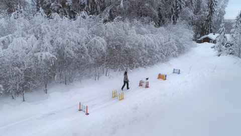 FOTKA - Pekvapujc svt krlk