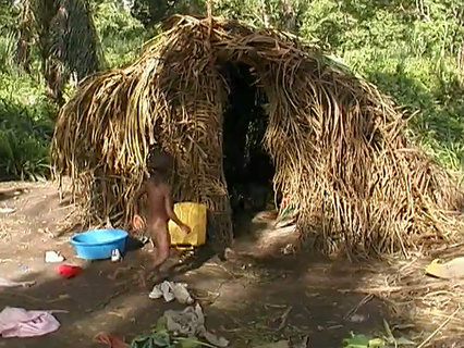 FOTKA - Cestomnie - Uganda  Kongo: Za ledovcem na rovnku