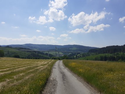 FOTKA - Vlet na msto, kde se setkvaj hranice t stt - Trojmez