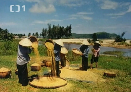 FOTKA - Cestomnie - Vietnam: Barvy trop