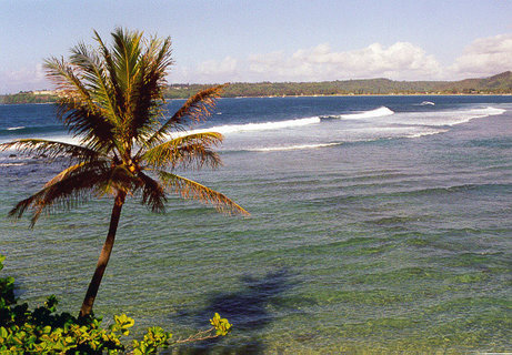 FOTKA - Cestomnie - Martinik a Guadeloupe: hav Mal Antily