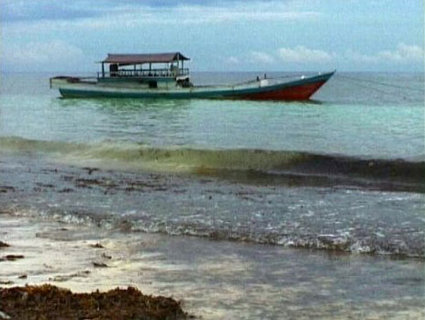 FOTKA - Cestomnie - Indonsie  Zpadn Papua: Cesta do pravku