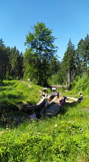 FOTKA - Krlovna Jizerskch hor, rozhledna Krlovka