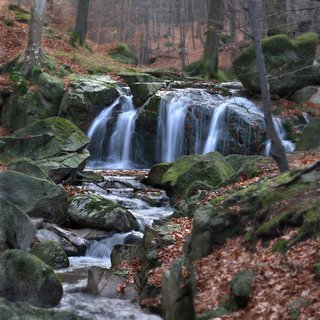 FOTKA - Za lskou do Jizerek