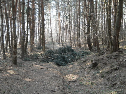 FOTKA - Vlet na Sedlansko