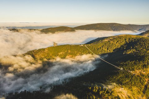 FOTKA - Zitky, od kterch se nebudou chtt odtrhnout mal ani velc